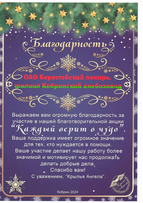 Благотворительная акция «Каждый верит в чудо!» 