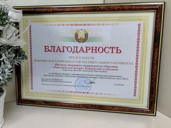 Благодарность «Берестейские сани» 2025