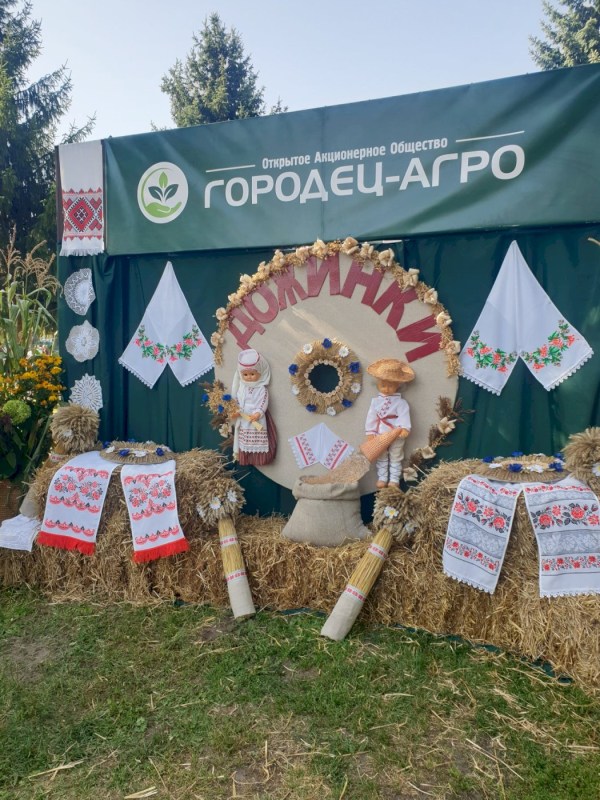 Дожинки 2025, аг. Городец