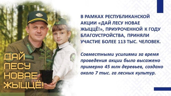 ПЯТИЛЕТКА КАЧЕСТВА – ИТОГИ ГОДА БЛАГОУСТРОЙСТВА