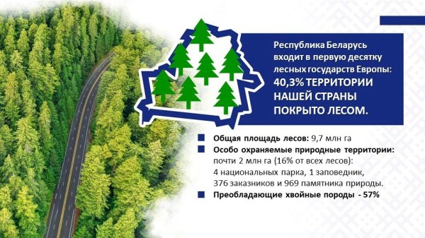 ПЯТИЛЕТКА КАЧЕСТВА – ИТОГИ ГОДА БЛАГОУСТРОЙСТВА