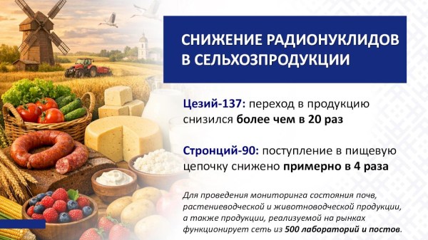 Чернобыль: от возрождения до устойчивого развития