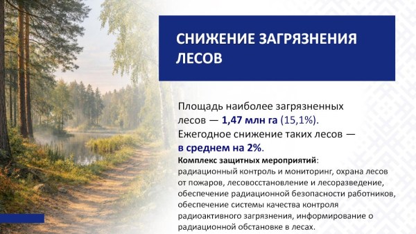 Чернобыль: от возрождения до устойчивого развития